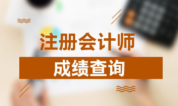 上海2019年注冊會計師官網(wǎng)成績查詢?nèi)肟谑悄膫€？