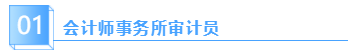 會(huì)計(jì)師事務(wù)所審計(jì)員