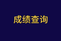 2020中級(jí)審計(jì)師成績(jī)查詢(xún)