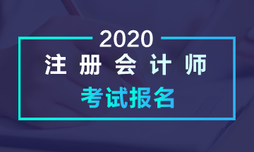 注冊(cè)會(huì)計(jì)師考試報(bào)名