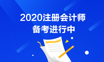 初級(jí)考試推遲了 注會(huì)也會(huì)推遲嗎？