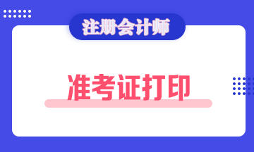 注冊(cè)會(huì)計(jì)師準(zhǔn)考證打印