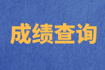 重慶2020年資產(chǎn)評(píng)估師考試成績(jī)查詢流程確定了嗎？