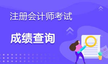 2020年廣西注會(huì)成績查詢時(shí)間