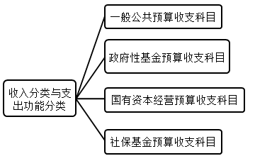 2020年高會《高級會計實務》知識點：政府收支分類