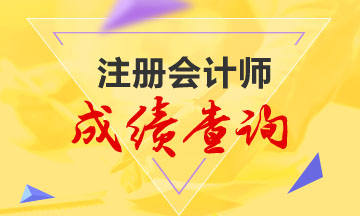 2020北京CPA成績(jī)查詢信息分享