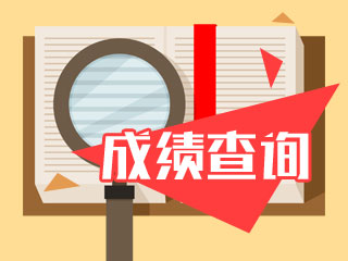 2020年廣東注冊(cè)會(huì)計(jì)師考試成績查詢