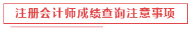 注冊會計師成績查詢注意事項