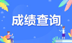 2020年河北CPA成績查詢時(shí)間