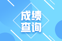 安徽省2020年高級(jí)經(jīng)濟(jì)師考試成績(jī)查詢(xún)時(shí)間