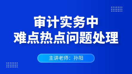 審計實務(wù)中難點熱點問題處理