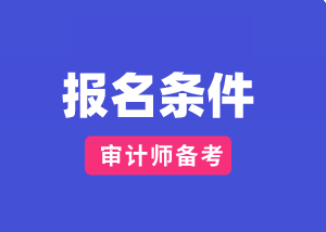 山東2020國(guó)際審計(jì)師報(bào)考條件及時(shí)間？