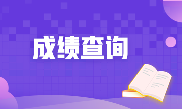 廣西2020年高級經(jīng)濟(jì)師成績查詢網(wǎng)址？查詢時間？