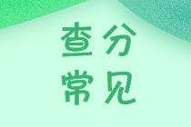 2020中級(jí)會(huì)計(jì)查分在即！你做好這些準(zhǔn)備了嘛？