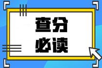 2020中級會計(jì)職稱查分總攻略：查分前中后都得注意點(diǎn)啥？