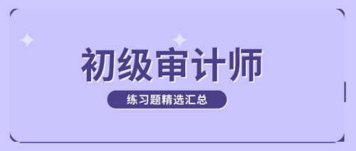 初級審計師練習(xí)題精選匯總