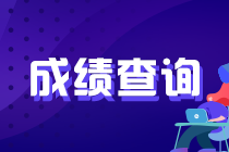 河南鄭州基金從業(yè)資格考試成績查詢官網是？