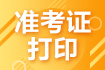 稅務(wù)師準(zhǔn)考證打印