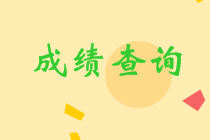 中級成績查詢2020時間已經(jīng)公布 快去查分！