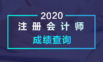 2020年安徽合肥注冊(cè)會(huì)計(jì)師的成績(jī)查詢步驟是什么？