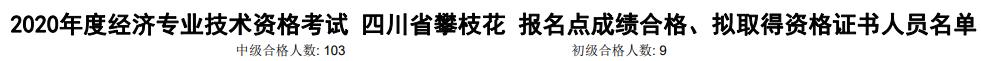 攀枝花2020年初中級經(jīng)濟師考試合格人數(shù)