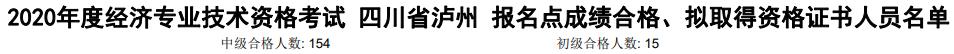 瀘州2020年初中級經(jīng)濟師考試合格人數(shù)