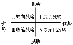 2021高會(huì)《高級(jí)會(huì)計(jì)實(shí)務(wù)》考試知識(shí)點(diǎn)：SWOT模型