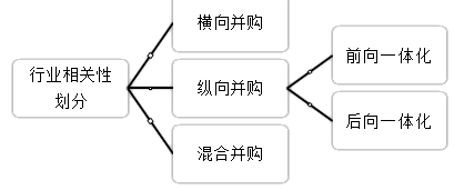 2021高會《高級會計(jì)實(shí)務(wù)》考試知識點(diǎn)：企業(yè)并購類型（二）