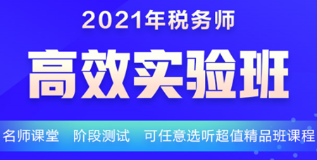稅務(wù)師高效實驗班課程