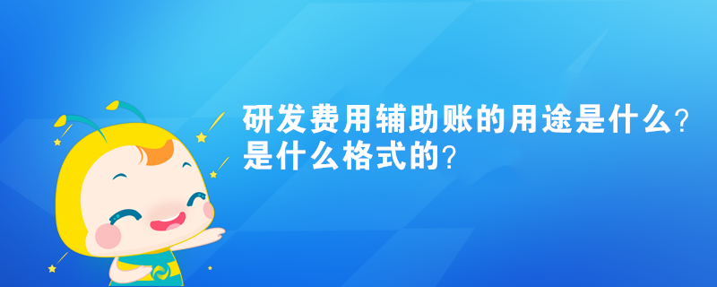 研發(fā)費(fèi)用輔助賬的用途是什么？是什么格式的？