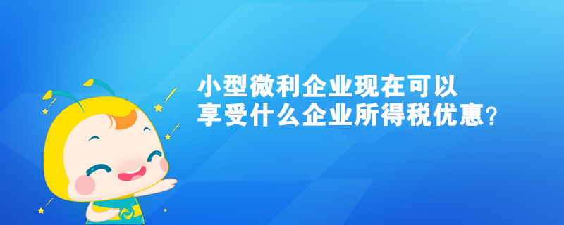 小型微利企業(yè)現(xiàn)在可以享受什么企業(yè)所得稅優(yōu)惠？