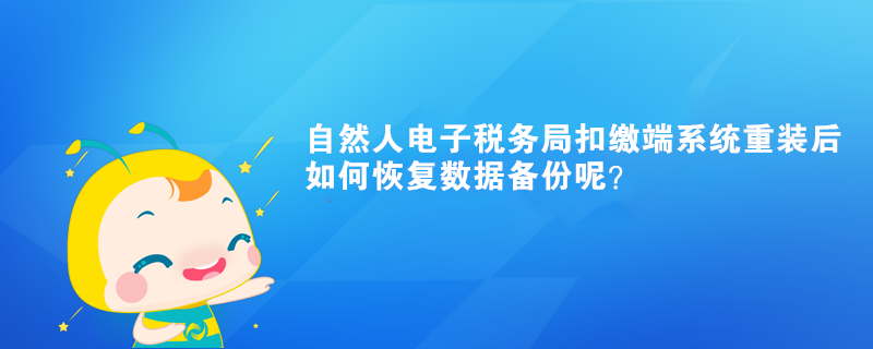 自然人電子稅務(wù)局扣繳端系統(tǒng)重裝后如何恢復(fù)數(shù)據(jù)備份呢？