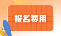 海南省2022年初級(jí)會(huì)計(jì)報(bào)名費(fèi)是多少錢？