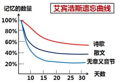 “注會(huì)知識(shí)點(diǎn)學(xué)完就忘怎么辦？如何能提高記憶力？