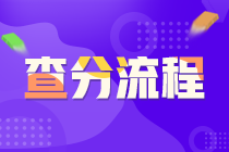 武漢市證券從業(yè)資格考試查分流程？