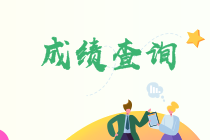 海南省2022年初級(jí)會(huì)計(jì)師考試成績(jī)查詢時(shí)間確定了嗎？