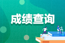 2022年中級會計延考成績查詢時間