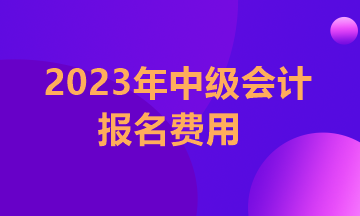 江蘇2023年中級(jí)會(huì)計(jì)職稱考試報(bào)名費(fèi)用多少？