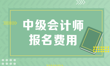 速看！中級會計報考費用多少錢?