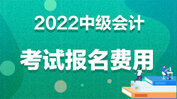 中級會計考試報名費用