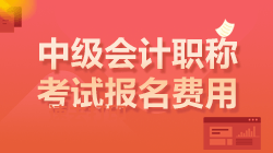 廣東中級(jí)會(huì)計(jì)報(bào)名費(fèi)多少錢？