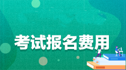 湖北省cpa考試的報名費用是多少？