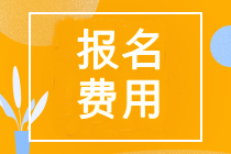 山東省cpa考試報(bào)名費(fèi)用是多少？