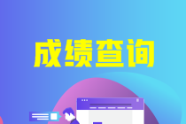 中級會計成績什么時候可以查詢到？