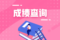 什么時(shí)候出注冊(cè)會(huì)計(jì)師考試成績(jī)？