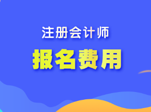 廣東cpa考試報名費用是多少？