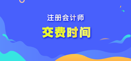 河北省注冊會計師什么時間交報名費(fèi)啊？