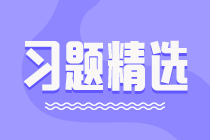 2023初級(jí)審計(jì)師《審計(jì)理論與實(shí)務(wù)》練習(xí)題精選（二十五）