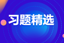 2024中級(jí)審計(jì)師《審計(jì)理論與實(shí)務(wù)》練習(xí)題精選