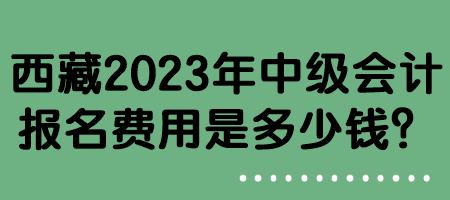 西藏2023年中級會計報名費用是多少錢？